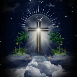 judith harris Gallery