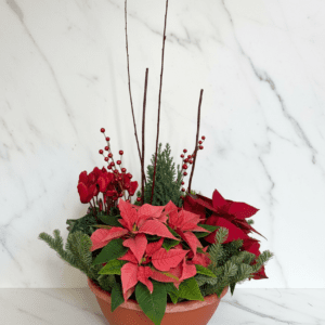 Seasonal Combo Planter