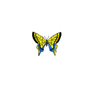 frances righman Gallery