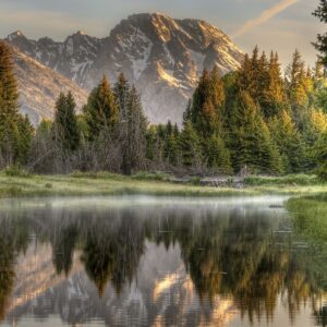 eugene sandy Gallery