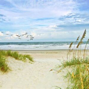 marian sublett Gallery