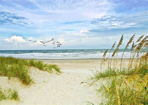 Marian Sublett Obituary-img