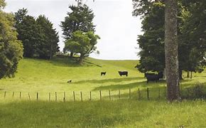 Albert Hunt Obituary-img